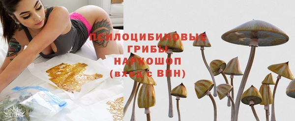 бошки Алексин
